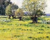 西奥多 罗宾逊 : Springtime